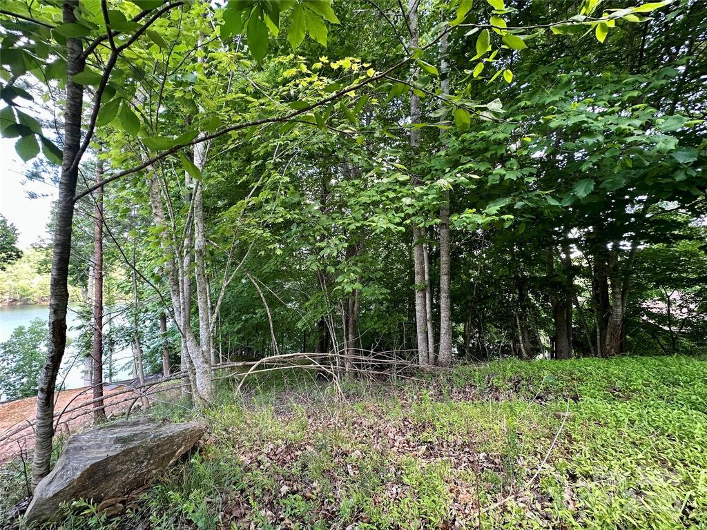 Image 14