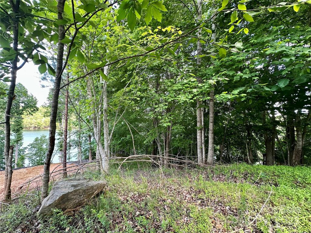 Image 15