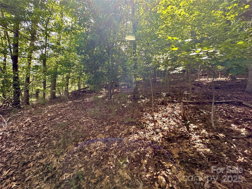 Image 19